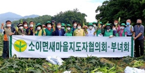 음성군 소이면 새마을남녀지도자협 옥수수 수확