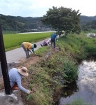`잡초밭을 꽃밭으로 온종일 구슬땀