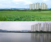 마름 걷힌 오송 연제저수지