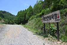 자연과 상생 … 마음까지 초록샤워