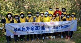 대한노인회 충북聯 사과수확 `구슬땀