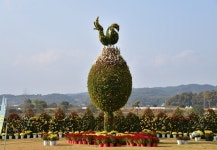 백제고도 부여국화축제 개막