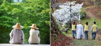 토닥토닥 … 코로나블루 치유해 보자