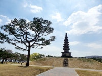풍경의 숨결이 만든 자유로움