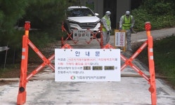 ASF 확산일로 … 금배추 이어 금돼지 되나