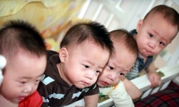 토끼띠 네쌍둥이 영·웅·호·걸 … 여동생도 생겼어요