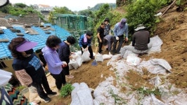청주 탑대성동 통장협의회 수해복구 봉사