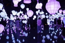 청주, 주말 가을축제로 `물든다