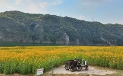 단양 도담정원 새로운 관광명소 `부상