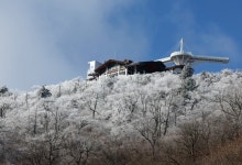 오늘 立冬 … 강원 발왕산에 핀 상고대