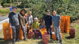 `단양에서 살아보기 효과 톡톡