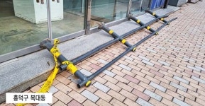 부러지고 … 뽑히고 … 청주 도로가 불안하다