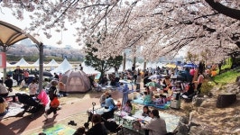 봄의 향연 … 지역예술인과 축제 즐겨요