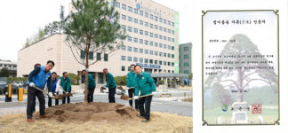 대전교육청, 정이품송 자목(子木) 심어