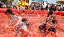 여기가 토마토 천국