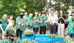 청주시 서원구청 등 여름꽃묘 식재