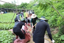 금산군 공직자·육군 32보병사단 등 2298명 동참
