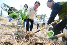 논산시 제80회 식목일 기념 나무심기 400여 명 참가