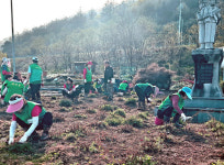 괴산 연풍면 새마을회, 새봄맞이 꽃길 조성