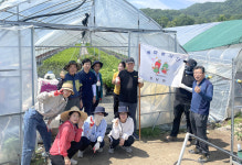 원남면 행정복지센터, 농촌 일손돕기 실시