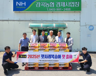 음성 감곡농협, 햇사레복숭아 시장 공략
