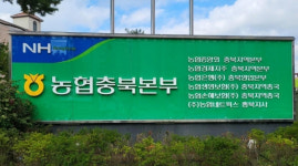 농협 금융사고 제로화 공염불 ... 충주 지점장 상품권 부정유통