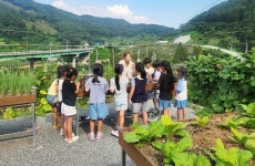 괴산 치유농장서 아동 신체·정서 쑤~욱