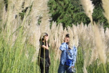 천리포수목원 걷는 길마다 가을이 펼쳐진다