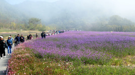 음성명작축제와 함께하는 화합 체육대회 지역 활력 UP
