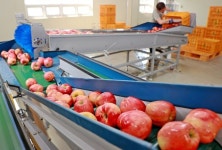 괴산 군자농협, 농식품부 스마트 APC 지원사업 선정