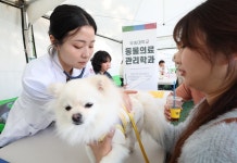 동구, 펫비트 페스타 개최