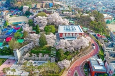 충남역사박물관, 2025년 공립박물관 평가인증 4회 연속 우수기관 선정