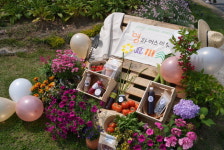 농업회사법인미스터파머스(주) | 제천 영파머스, 마켓농업에 젊음을 더하다