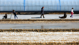 논에 물 얼려 만든 썰매장