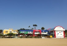 시목초등학교, 2025년도 충남교육청 종합청렴도 평가 초등 부문 공동 1위