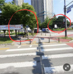 가로수 등 지장물 탓 고개 내밀어 확인 운전자 시야 가리는 교통섬