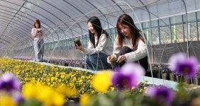 동구, 봄 맞이 꽃향 가득