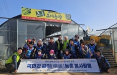 농협진천군지부, 오이 모종심기 일손돕기 실시