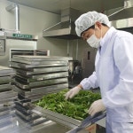 금산군농업기술센터 약초 가공제품 개발 및 농가 창업 지원