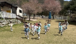 제천시 용두초등학교병설유치원, 봄 현장체험학습 운영