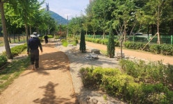 괴산군 성황천 맨발숲길 22일 정식 개장