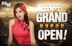 팡스카이, 정파와 사파의 진영전 PC MMORPG야생온라인 정식 서비스