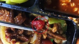 현대그린푸드 공급 구내식당 구더기·애벌레·바퀴벌레 검출 충격...예견된 결과?