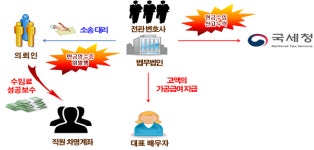 연예인·운동선수·유튜버·변호사·의사·동물병원·부동산 신흥 부자 176명, 신종 탈세 7가지 수법은?