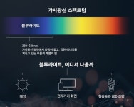 블루라이트를 잡아라 갤럭시 S10에 탑재된 신기술...화질 저하 현상도 극복
