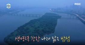 MBC 나 혼자 산다 속 마포구 명소 어디?