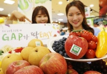 롯데마트, GAP 인증 과일 모음전 진행