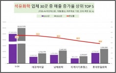 [데이터 뉴스룸] 석화業 매출 희비 엇갈렸다…S-Oil 50%↑ VS LG생건 20%↓