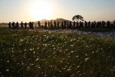 [한국기행]화성 수섬의 6월