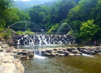 경기도, 여름 휴가철, 축령산자연휴양림서 물놀이 즐기자!
